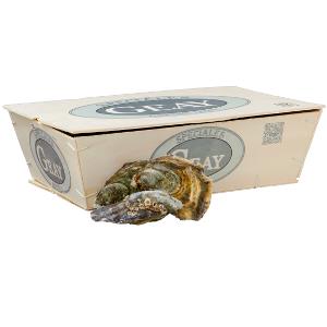 Oesters Speciales de Geay Nr 3-24